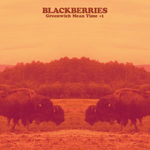 2016-10_adw-blackberries