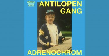 Antilopen Gang Cover Adrenochrom